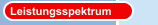 Leistungsspektrum